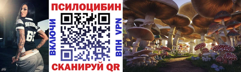 Купить  Татарск  Псилоцибиновые грибы MAGIC MUSHROOMS 